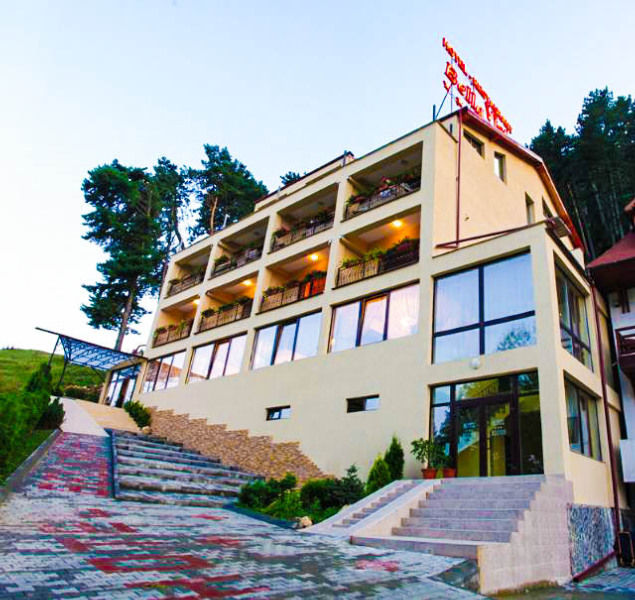 Bellavista Brasov Hotel Sacele Exterior photo
